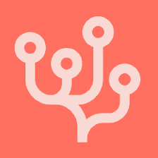 Google (Coral) logo